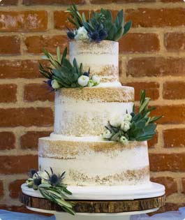 Semi-Naked 3 tier Cake